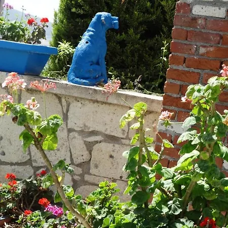 Hotel Surya Butik Alaçatı