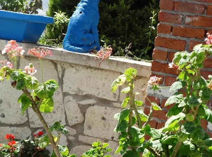 Отель Surya Butik Алачати